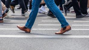 Pilot scheme of smart crosswalks suggested for one Kildare MD