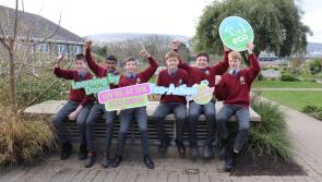 Kildare finalists announced for ECO-UNESCO Young Environmentalist Awards
