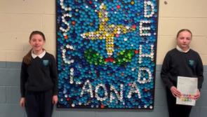 Kildare pupils shine in this year's Our World Awards
