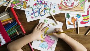 National Therapy Service 'good news' for special schools in Kildare