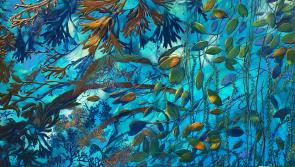 Making a splash: Kildare-based artist to unveil free visual arts experience celebrating the River Liffey