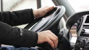Waiting period for driving tests in Kildare North slammed in Dáil