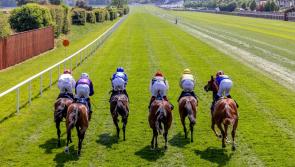 BREAKING: Kildare racecourse sells off land for houses in multi-million euro deal 