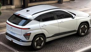 87 staff in Kildare Co Council shared the same electric car in a pilot project 