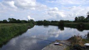 Vital Kildare funding boost to restore salmon and trout stocks 
