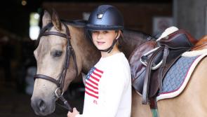 KILDARE GALLERY: Dublin Horse Show opens at the RDS in Dublin 