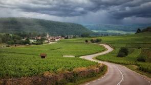 Over &euro;560k investment in Kildare's rural roads and laneways