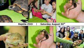 Three weeks of free family fun at Kildare's Whitewater Shopping Centre