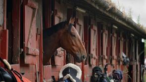 €178k stables proposed for this Kildare town