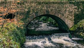 More than €3,300 in grants awarded to Kildare for Water Heritage Day events
