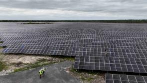 LATEST PHOTOS: Check out massive solar farm officially launched in Kildare 