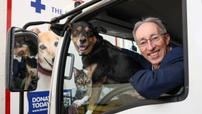 ‘My Legacy Month’ highlights potential lifeline for charities in Kildare