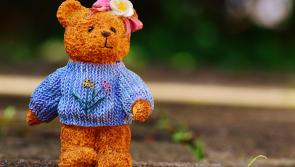 Free Teddy Bear's picnic to take place at Kildare Gaelscoil