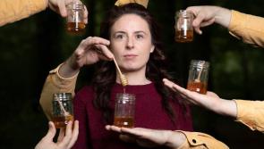 New show set to hit the stage at Kildare theatre venue 