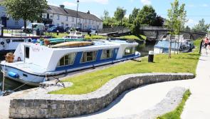 Foreign-registered cars 'allowed to park for weeks' in Kildare