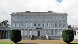 UPDATE: Toxic waste was not present at woods near Castletown House, Kildare County Council says