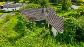 PICTURES: Fancy a three-bed fixer upper in South Kildare