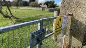 'Disgraceful' - lack of access to this old Kildare graveyard