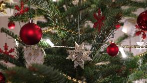 &lsquo;We want people to know that they&rsquo;re not alone&rsquo;: Mental health charity announces free online support groups for Kildare residents throughout Christmas and New Year period