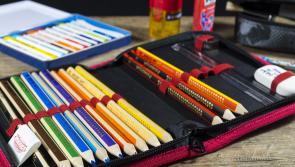 Minister welcomes new Education Therapy Service for Kildare special schools