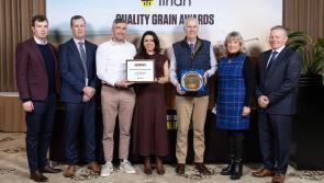 Kildare&nbsp;growers scoop Tirl&aacute;n Grain Awards