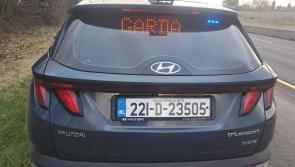 Two HGV drivers in Kildare holding mobile phones while driving