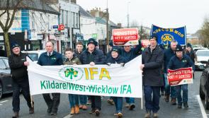 Kildare minister welcomes end of IFA sit-in protest at Bord Bia following promise of review