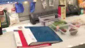 WATCH: Naas schoolgirl investigates if our environment is DYEing at BT Young Scientist and Technology Exhibition 2020