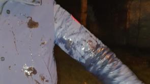 Kildare councillor hits out at men who threw barbecue sauce at his wife and sister-in-law
