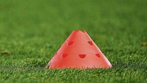 PLANNING BRIEF: New pitch sought by GAA club in Kildare