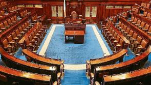 Kildare Senator welcomes new agency established to tackle domestic violence and refuge delivery