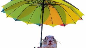 Kildare Weather: Monday, October 25, 2021