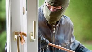 Gardai appeal for information following burglary in Kilcullen