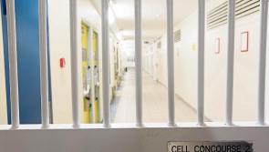 Covid-19 vaccination demand made for prison  officers and inmates in Portlaoise and other jails