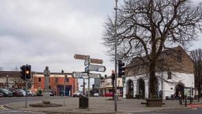 Only one Kildare town signed up for poster free election says campaign group