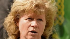 Kildare businesses 'are not taking up grants'