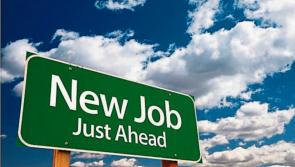 Jobs alert: Kildare studfarm hiring security staff