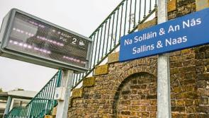 Assault at Sallins train station