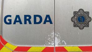 Cash robbed at  Naas house
