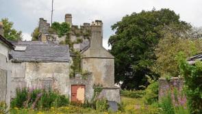 Kildare County Council asked about future use of ancient Naas castle