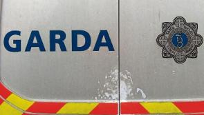 Girl seeking sponsorship dupes Naas woman in her home
