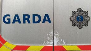 Man robbed the batteries from Naas motorway warning signs