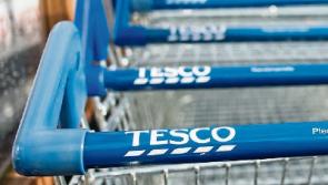 Tesco wants to develop cafes at north Kildare stores in Celbridge and Maynooth