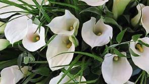 Deaths in Co Kildare - January 28, 2020