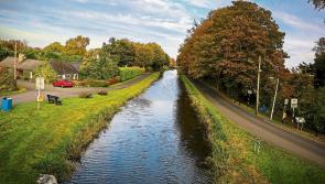 KILDARE: There's a need for a new canal bridge in Naas