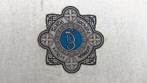 Gardaí investigate power tools theft  in Naas