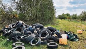 Politician puts up money to find illegal dumpers in Allenwood