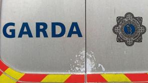 Naas home targeted as bicycles stolen