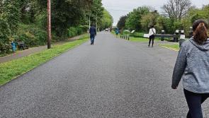 Changes needed to make Naas public areas accessible