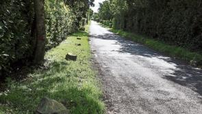 West Kildare  man who died while driving named locally